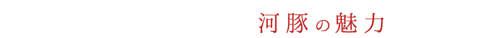 〝生きたまま〟が河豚の魅力を引き出す